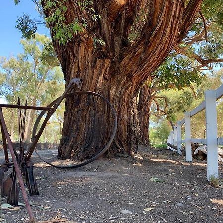 Fernleigh Accommodation Goughs Bay 外观 照片