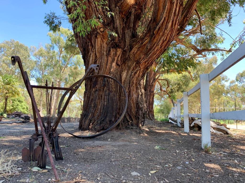 Fernleigh Accommodation Goughs Bay 外观 照片